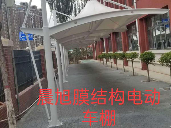 膜结构车棚 (38)