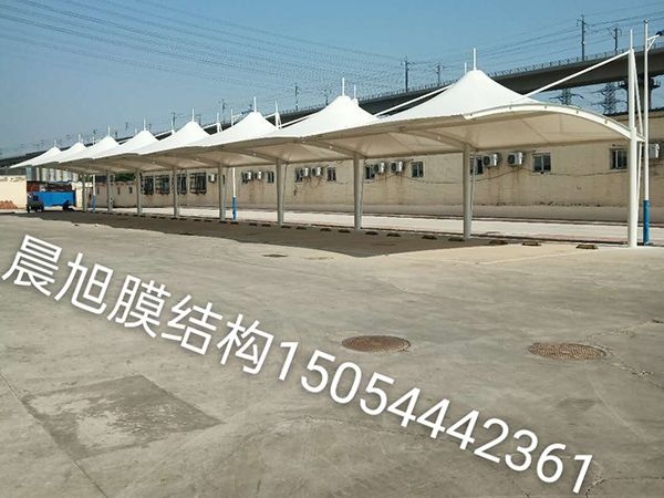 膜结构车棚 (41)