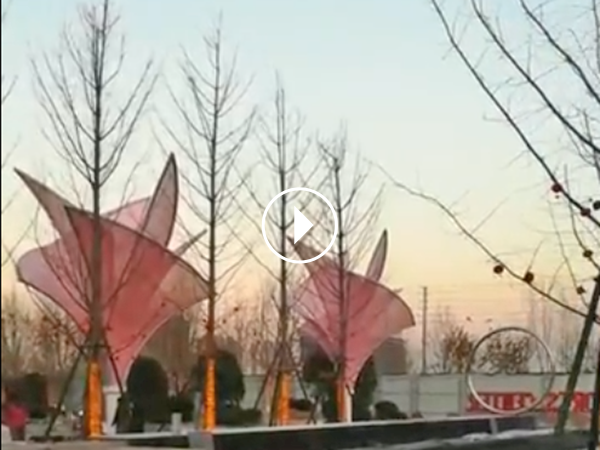 qq图片20210722114713